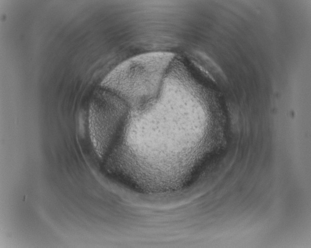 X0000072550026200608041659