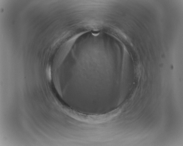 X0000072550027200608041659