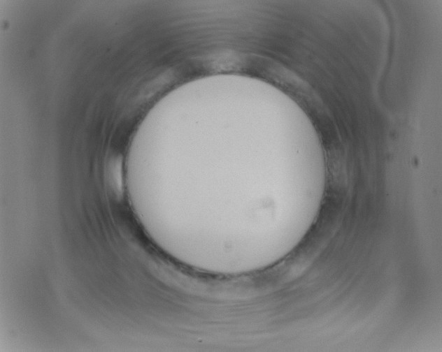 X0000072550028200608041659