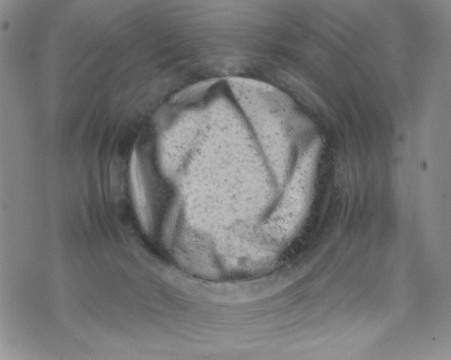 X0000072550030200608041659