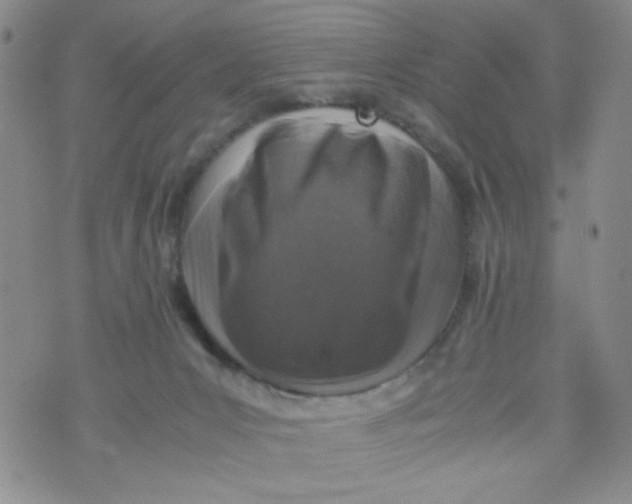 X0000072550031200608041659