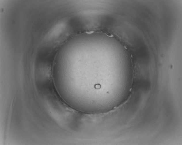 X0000072550033200608041659