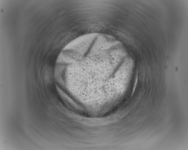 X0000072550034200608041659