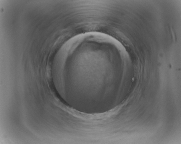 X0000072550035200608041659