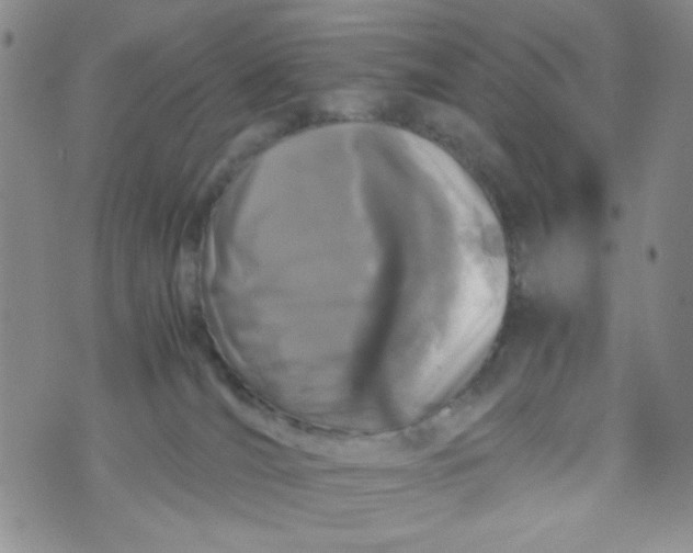 X0000072550036200608041659