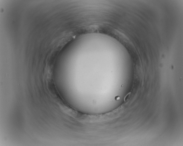 X0000072550037200608041659