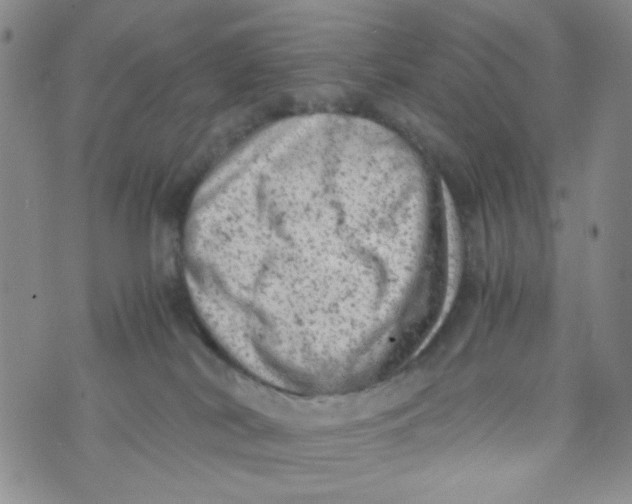 X0000072550038200608041659