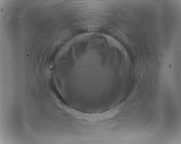 X0000072550039200608041659