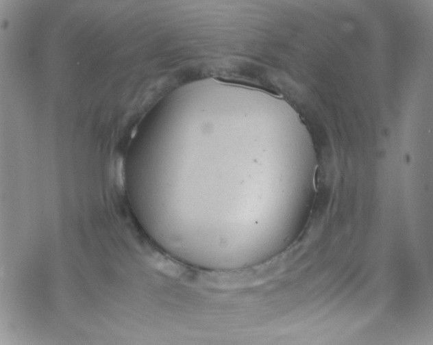 X0000072550041200608041659