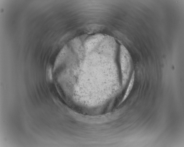 X0000072550042200608041659