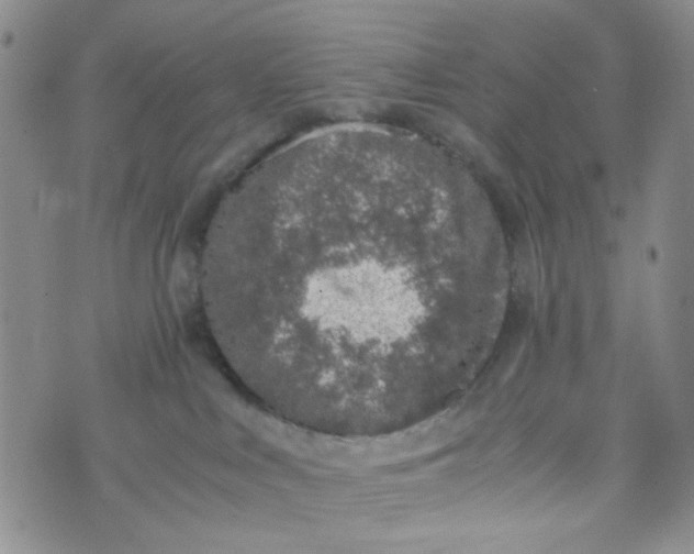 X0000072550043200608041659