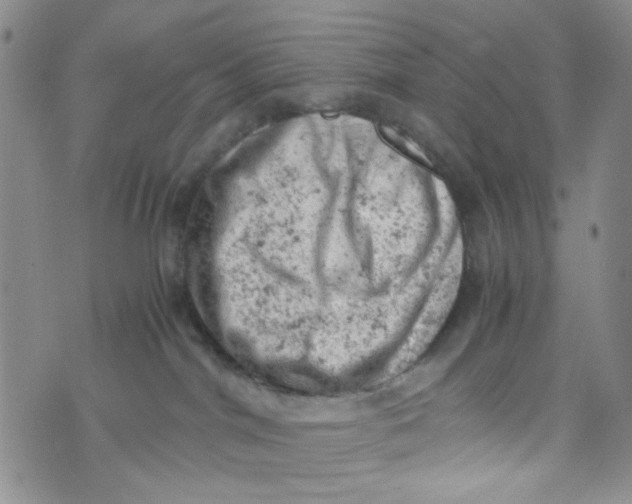 X0000072550044200608041659