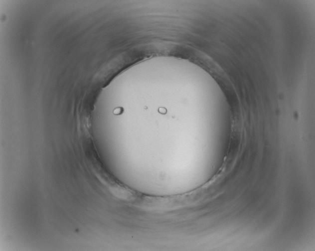 X0000072550045200608041659