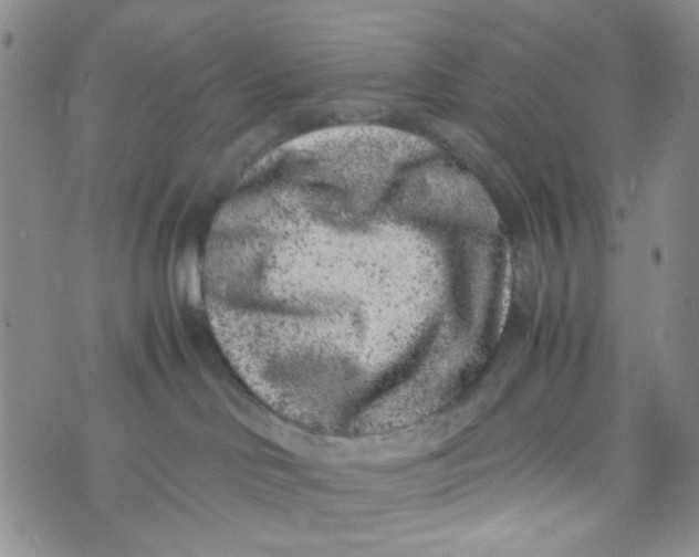 X0000072550046200608041659