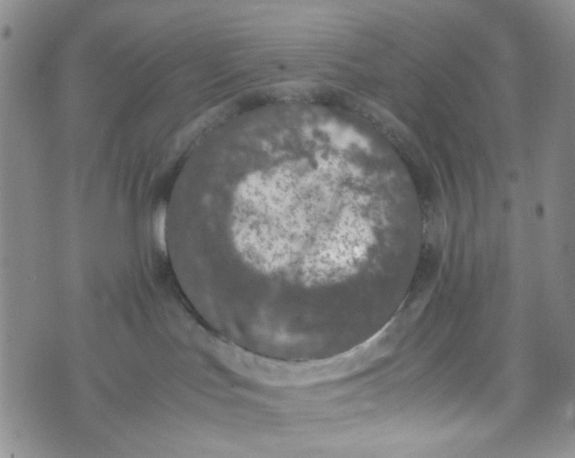 X0000072550047200608041659