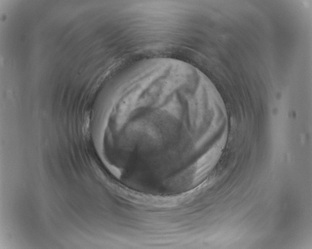 X0000072550048200608041659