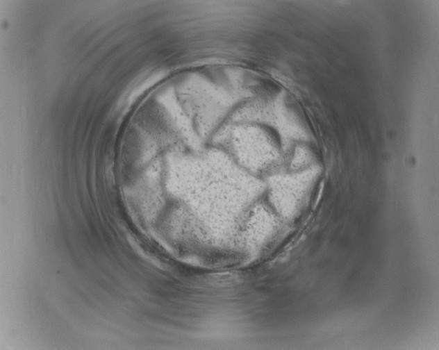 X0000072550050200608041658