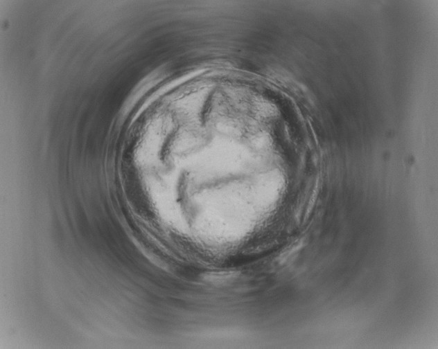 X0000072550051200608041658