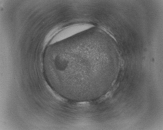 X0000072550053200608041658