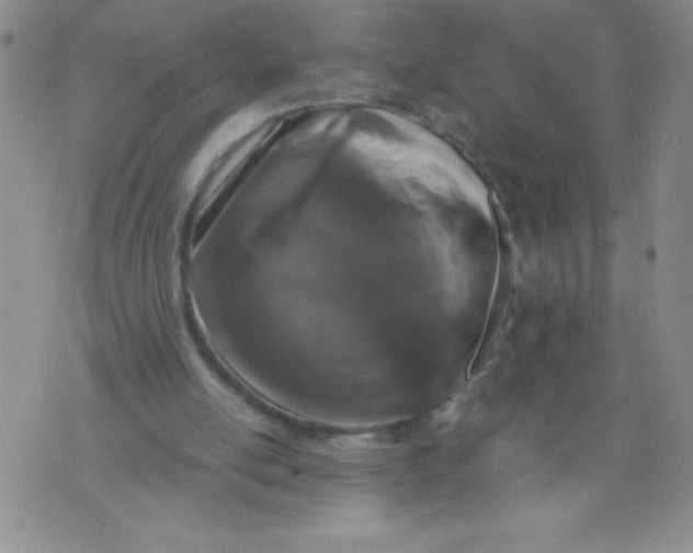 X0000072550054200608041658