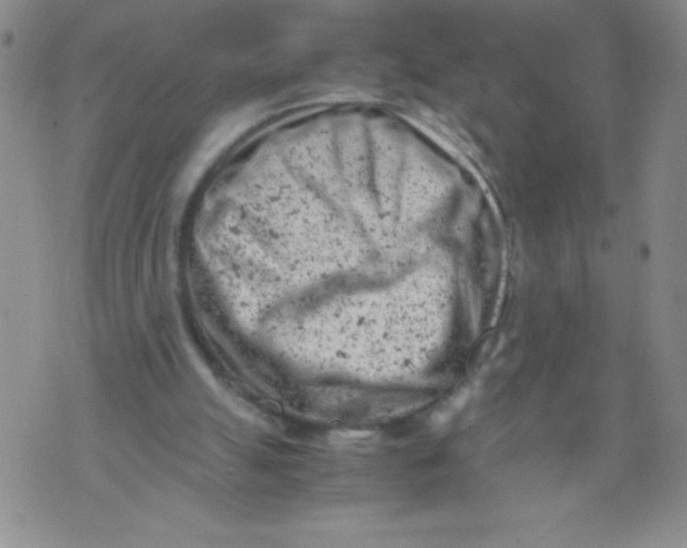 X0000072550055200608041658