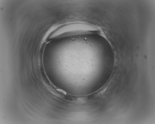 X0000072550056200608041658