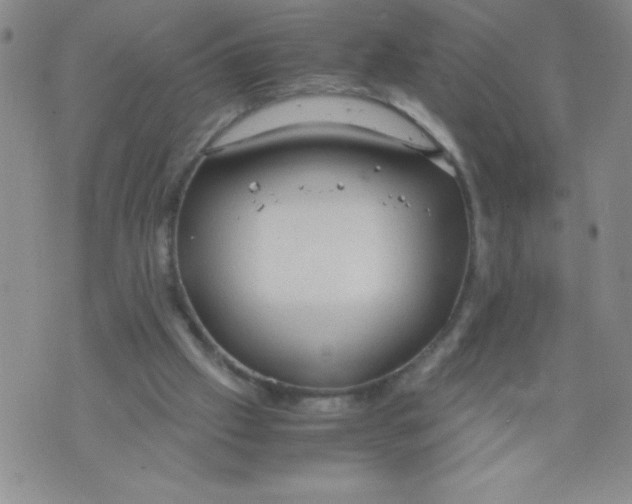 X0000072550057200608041658