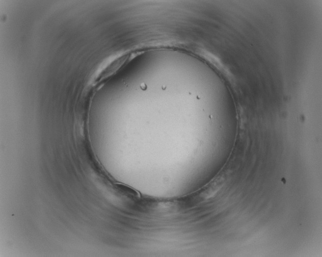 X0000072550060200608041658