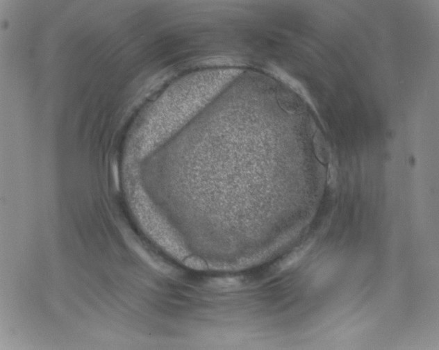 X0000072550061200608041658