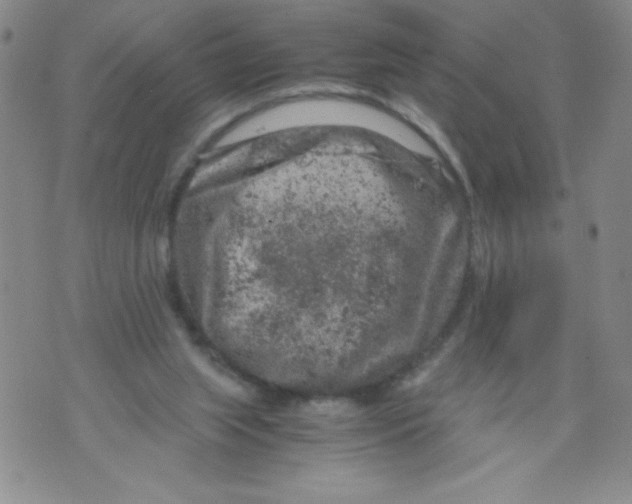 X0000072550063200608041658