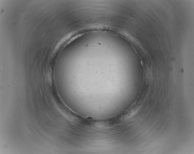 X0000072550064200608041658