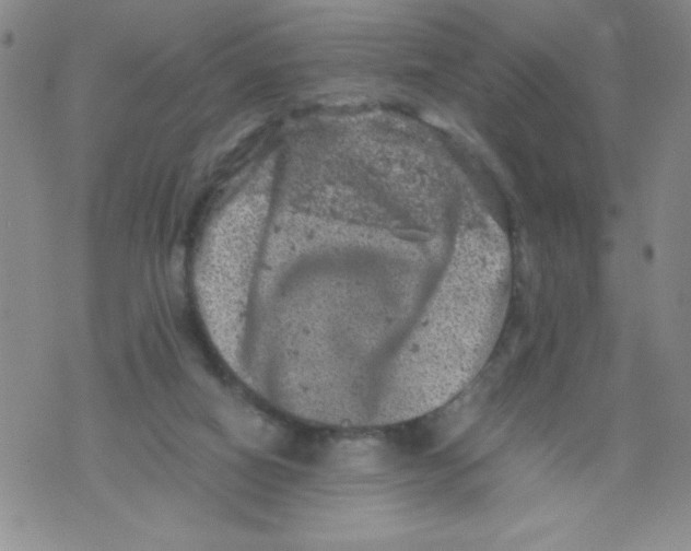 X0000072550066200608041658