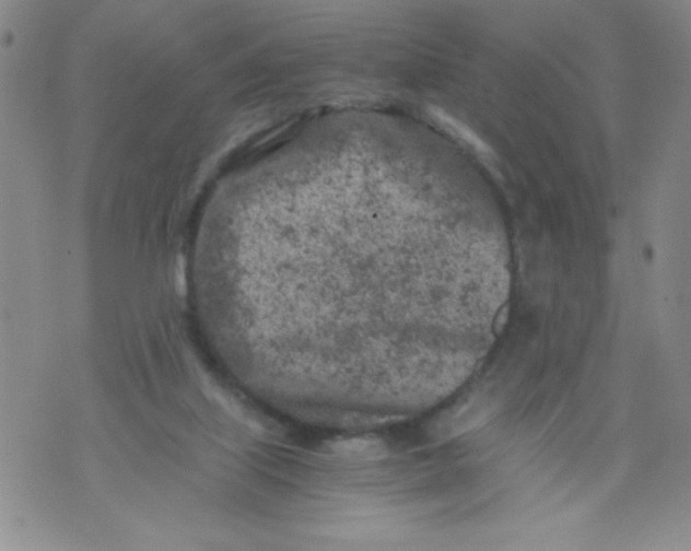 X0000072550067200608041658