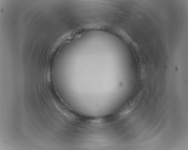 X0000072550068200608041658