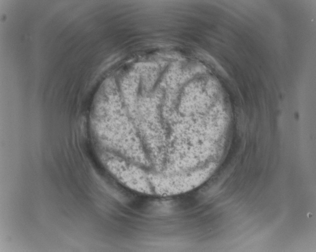 X0000072550071200608041658