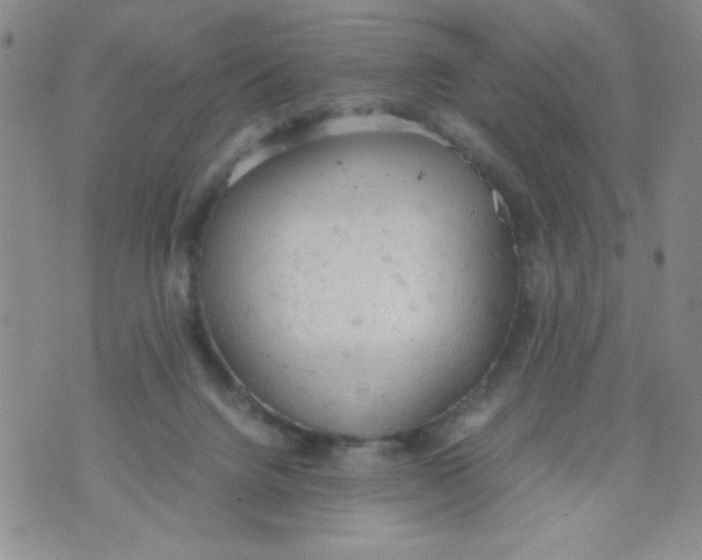 X0000072550072200608041658