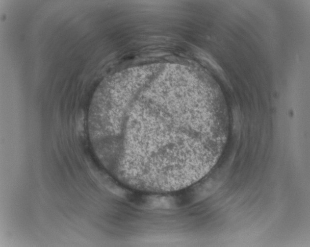 X0000072550073200608041658