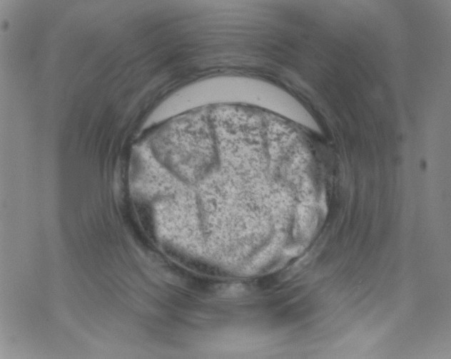 X0000072550074200608041658