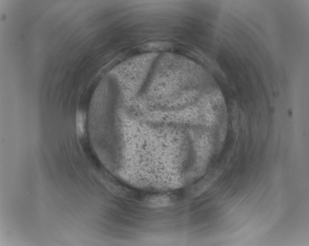 X0000072550075200608041658