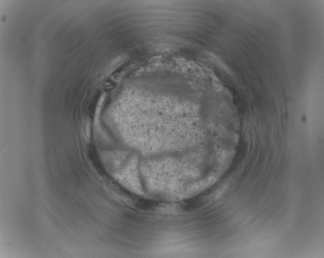 X0000072550076200608041658