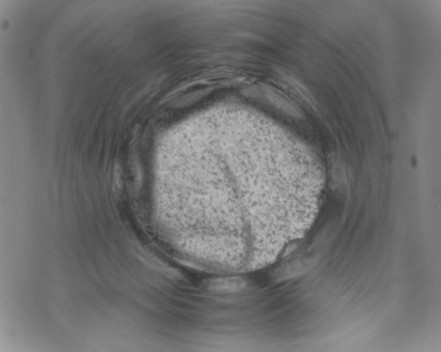 X0000072550077200608041658