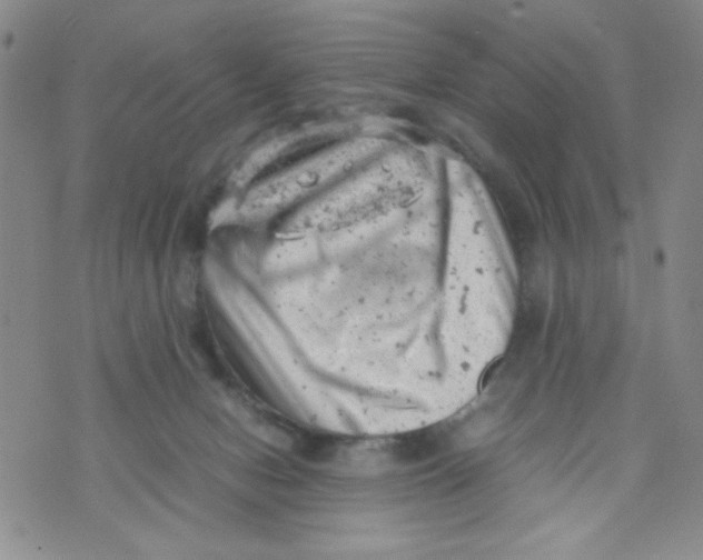 X0000072550078200608041658