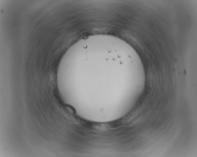 X0000072550079200608041658