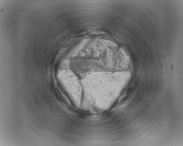 X0000072550082200608041658