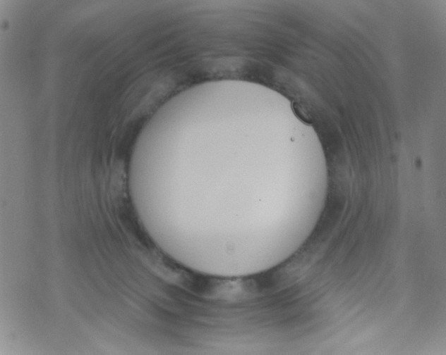 X0000072550083200608041659