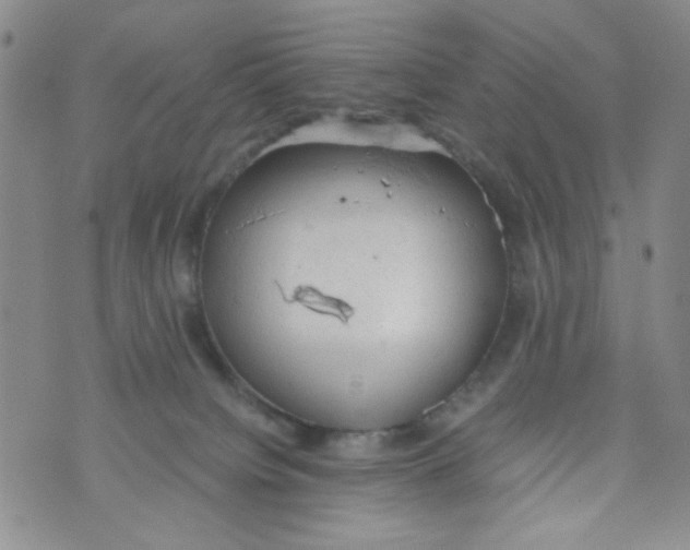 X0000072550084200608041659