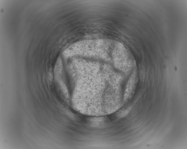 X0000072550085200608041659