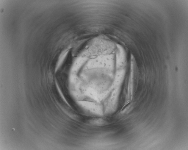 X0000072550086200608041659