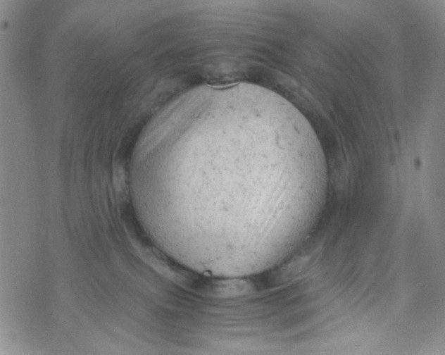 X0000072550087200608041659