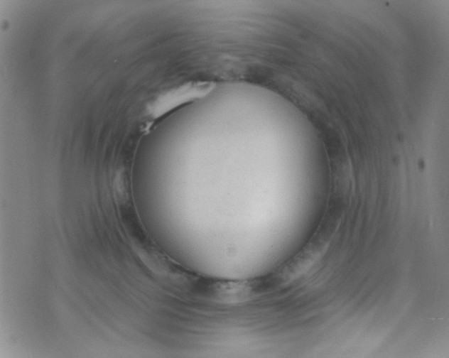 X0000072550088200608041659